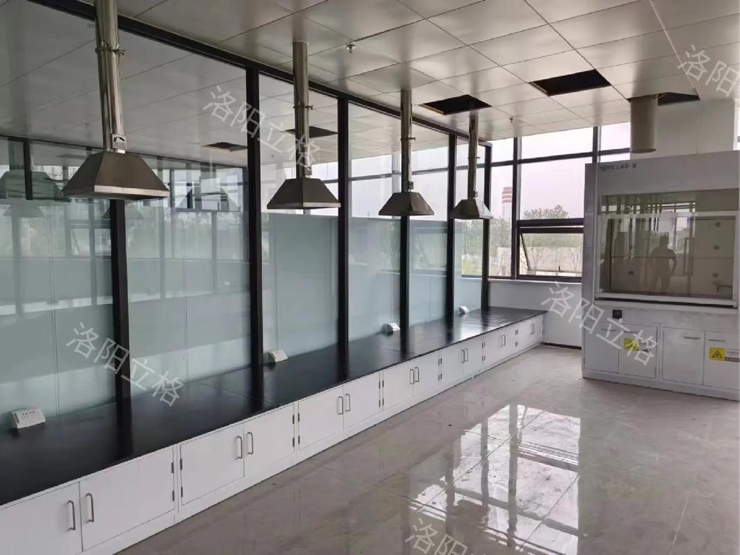 原子吸收罩安裝完工#凈化工程#生產(chǎn)廠家#原子吸收罩